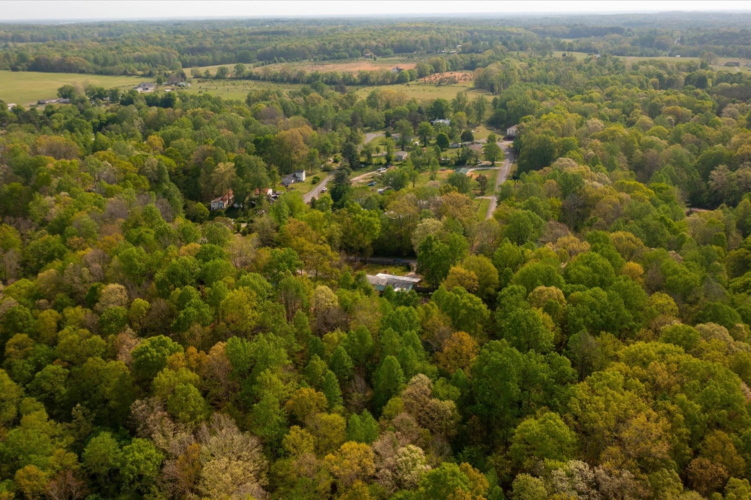 2354 Wayne Road Bon Aqua, TN 37025 - Photo 45 of 50