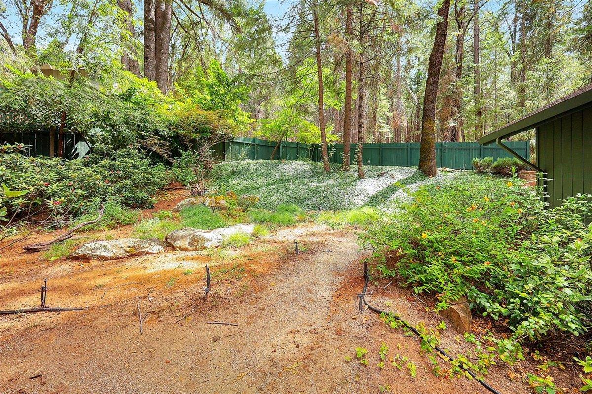 12593 Red Dog Road Nevada City, CA 95959 - Photo 12 of 41