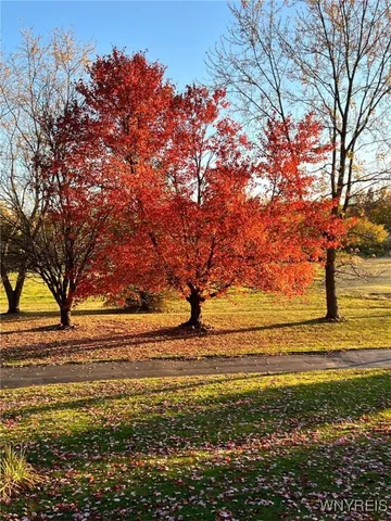 $350,000 | 6390 Deanna Drive, Hamburg, NY 14075