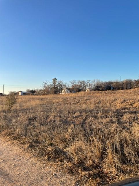 8496 Lavender Road Springtown, TX 76082 - Photo 2 of 3