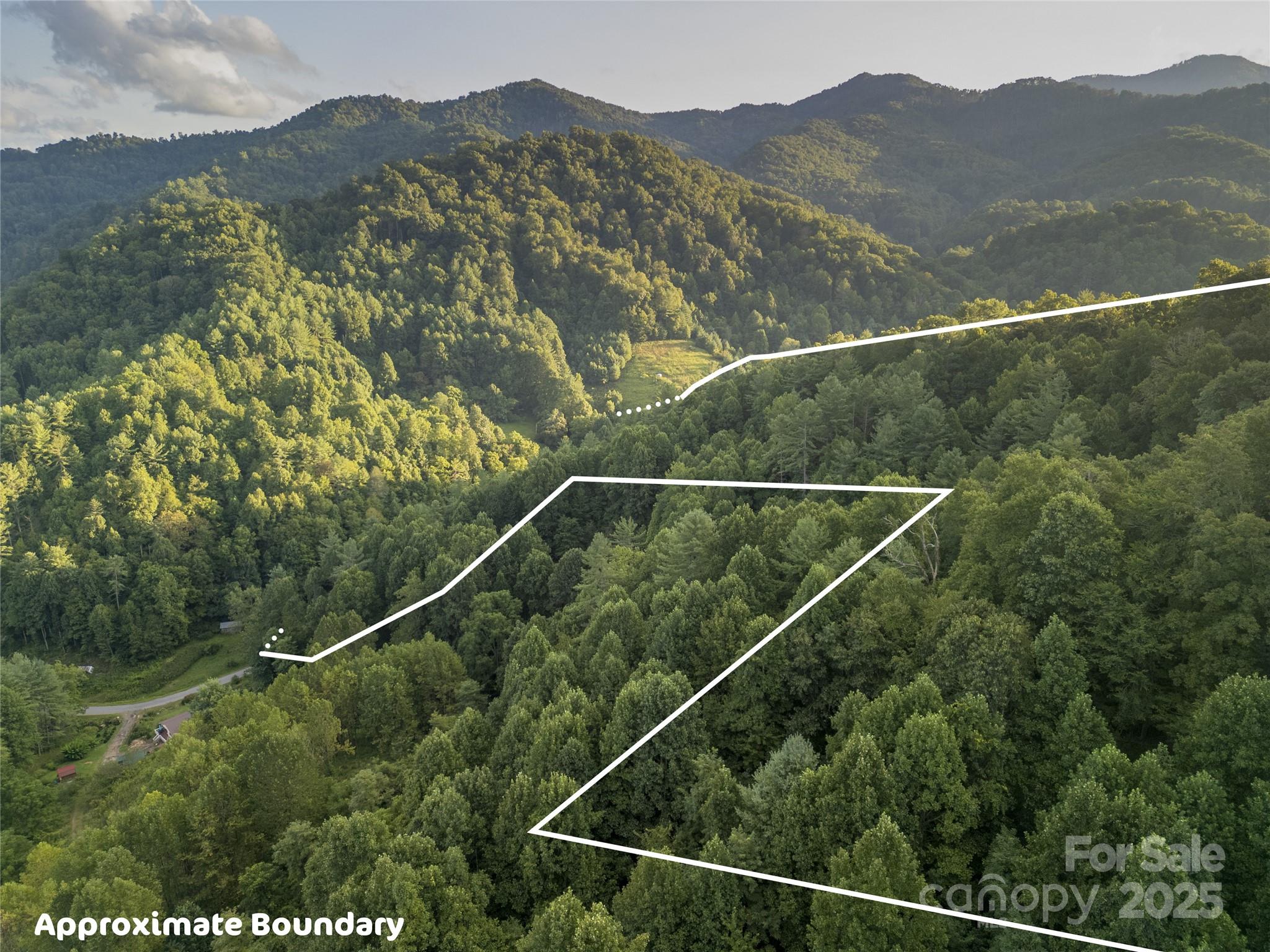 Tbd Butter Sop Road Burnsville, NC 28714 - Photo 13 of 23