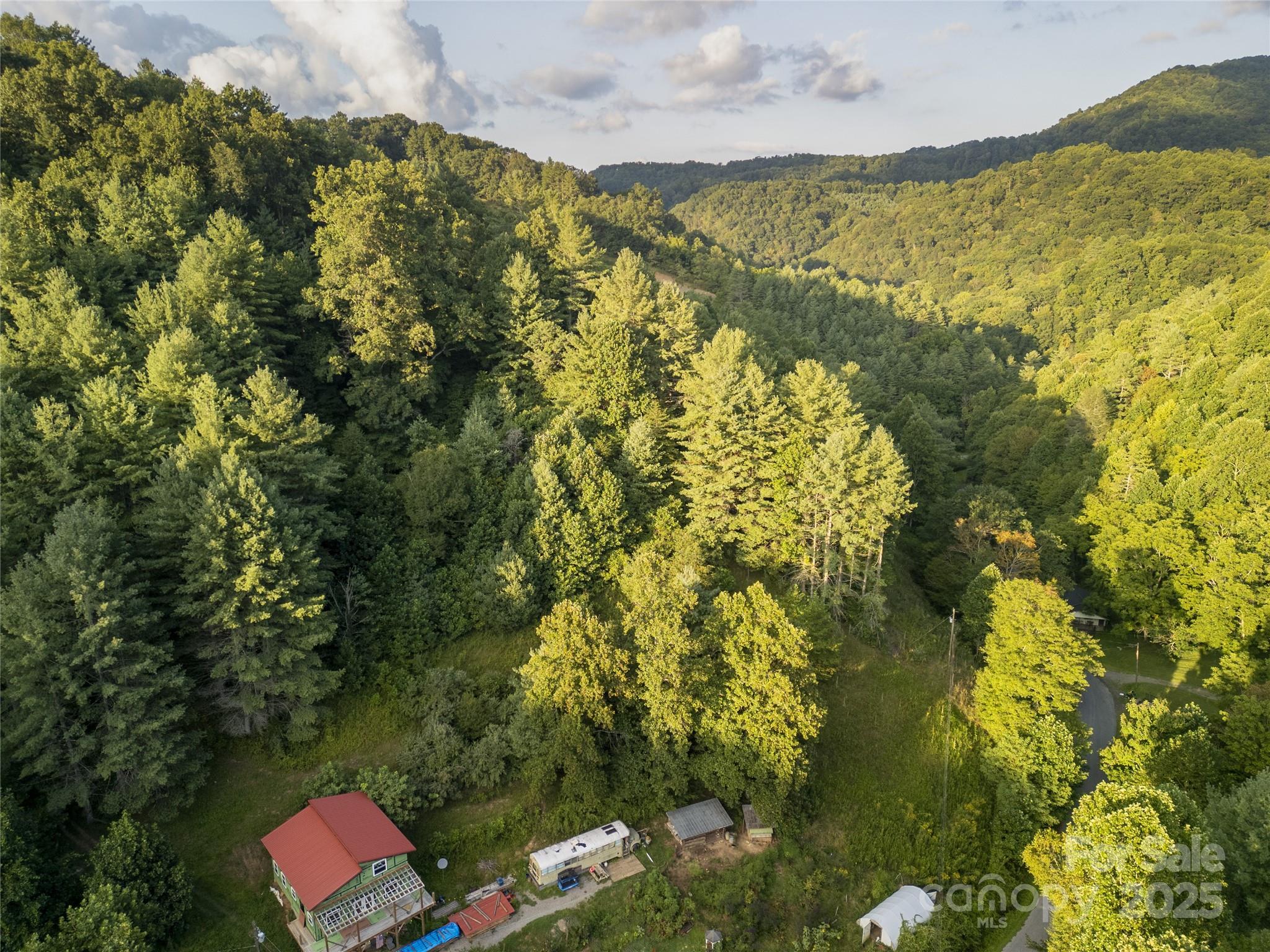 Tbd Butter Sop Road Burnsville, NC 28714 - Photo 15 of 23