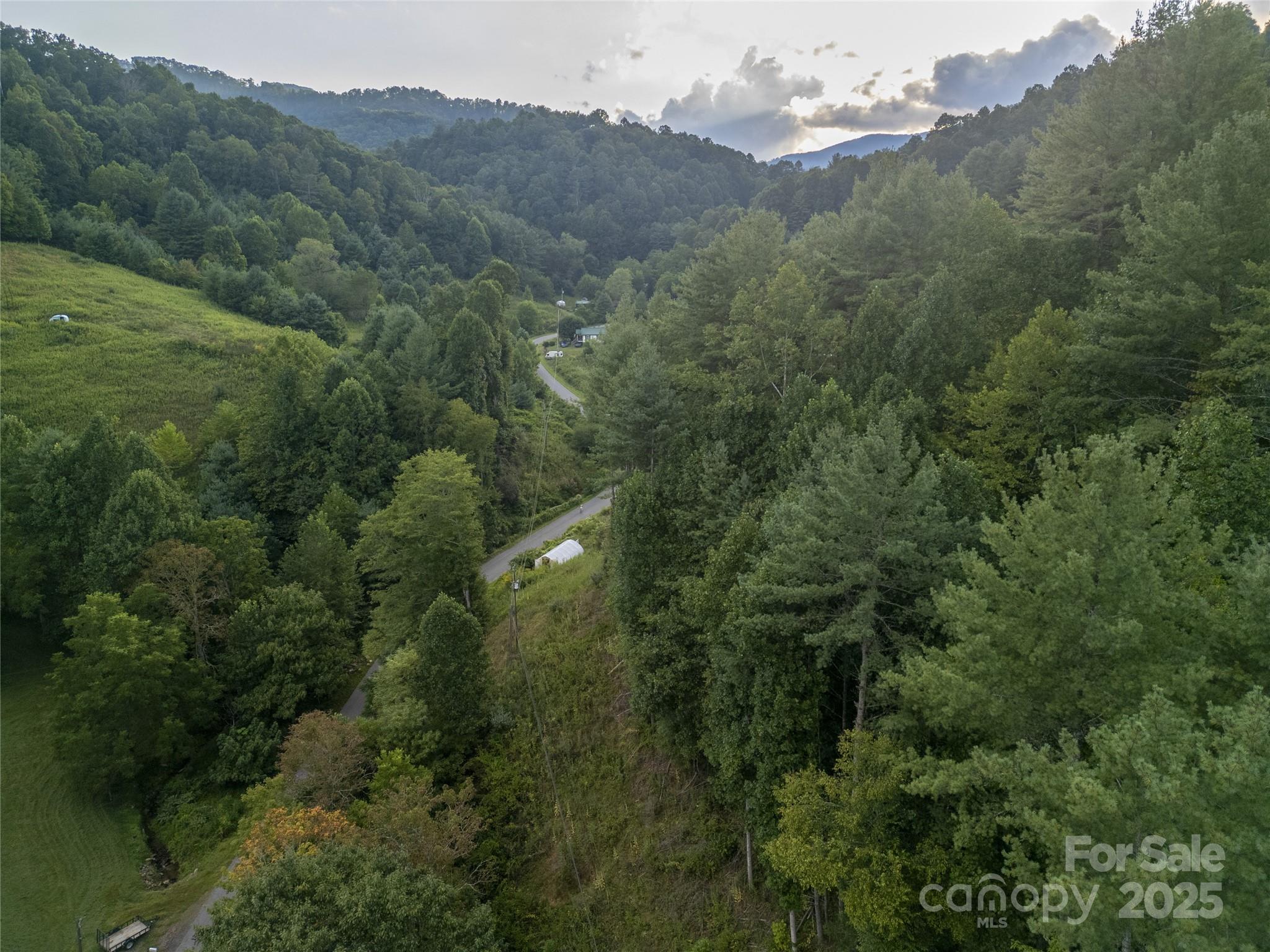 Tbd Butter Sop Road Burnsville, NC 28714 - Photo 18 of 23