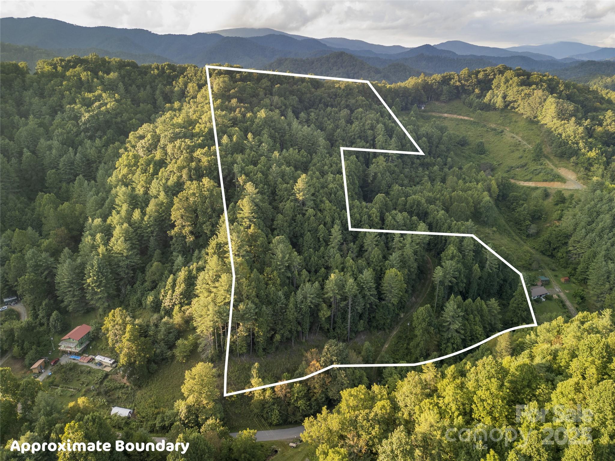 Tbd Butter Sop Road Burnsville, NC 28714 - Photo 5 of 23