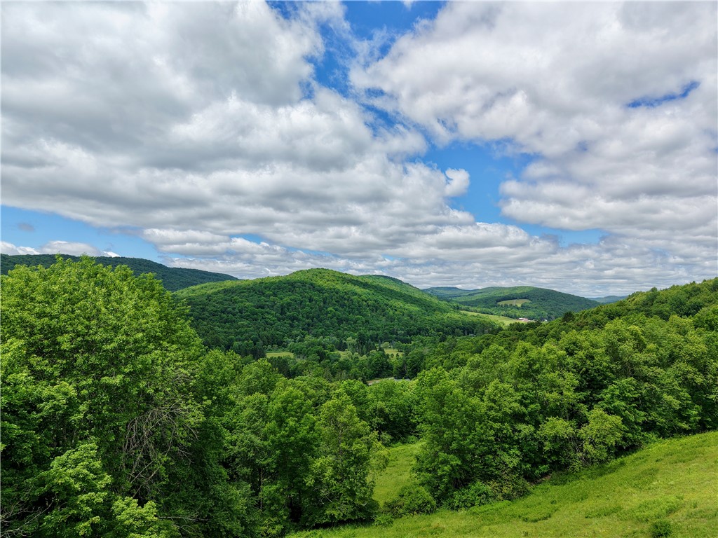 240 Dowie Road Andes, NY 13731 - Photo 45 of 49