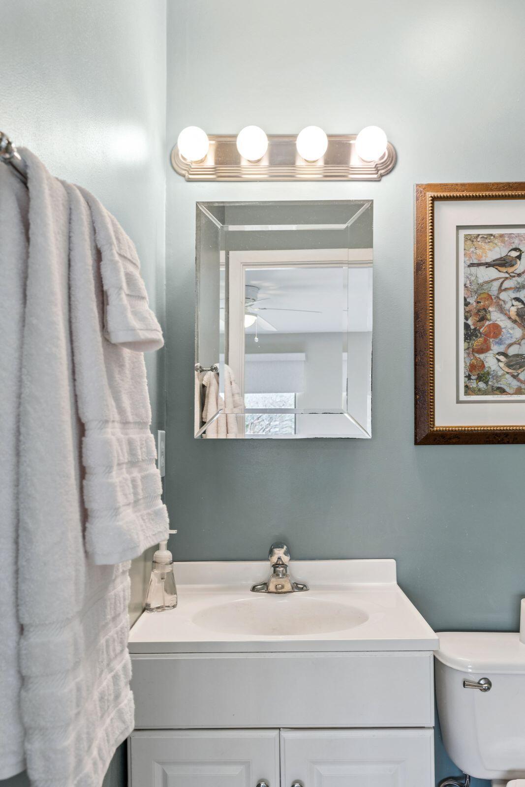 337 Spoonbill Lane Mount Pleasant, SC 29464 - Photo 20 of 41 Bathroom