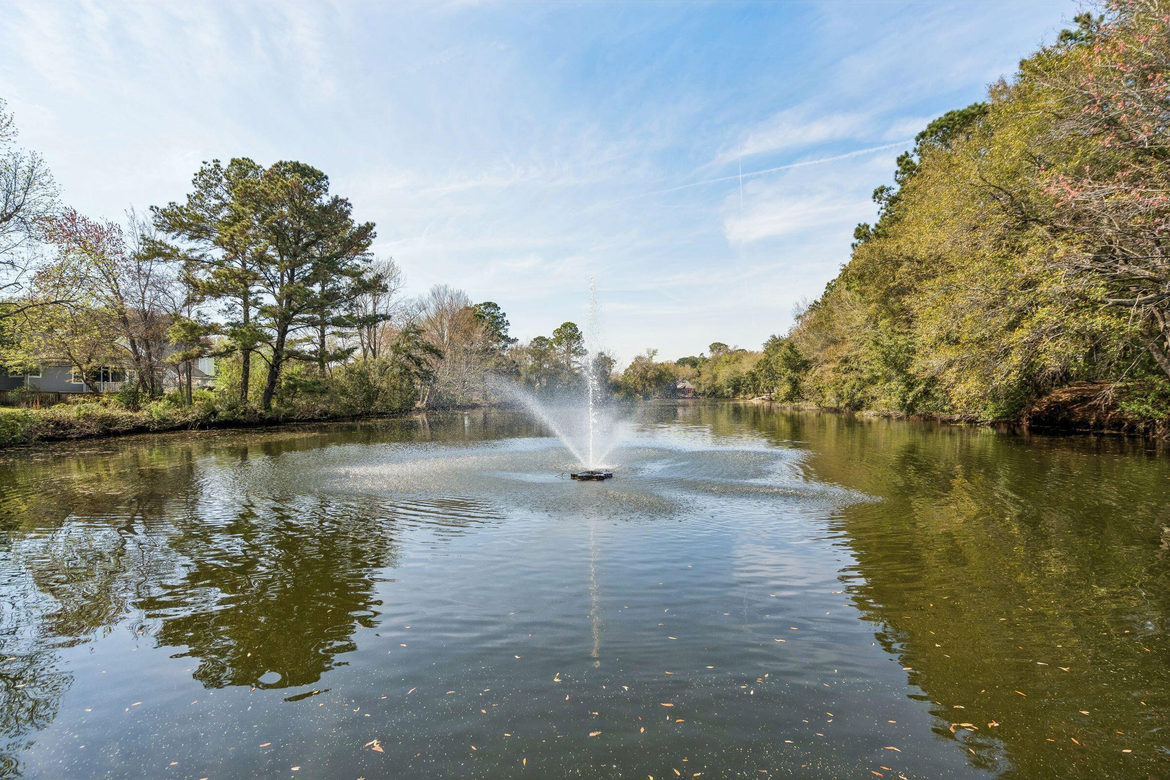 337 Spoonbill Lane Mount Pleasant, SC 29464 - Photo 39 of 41 pond