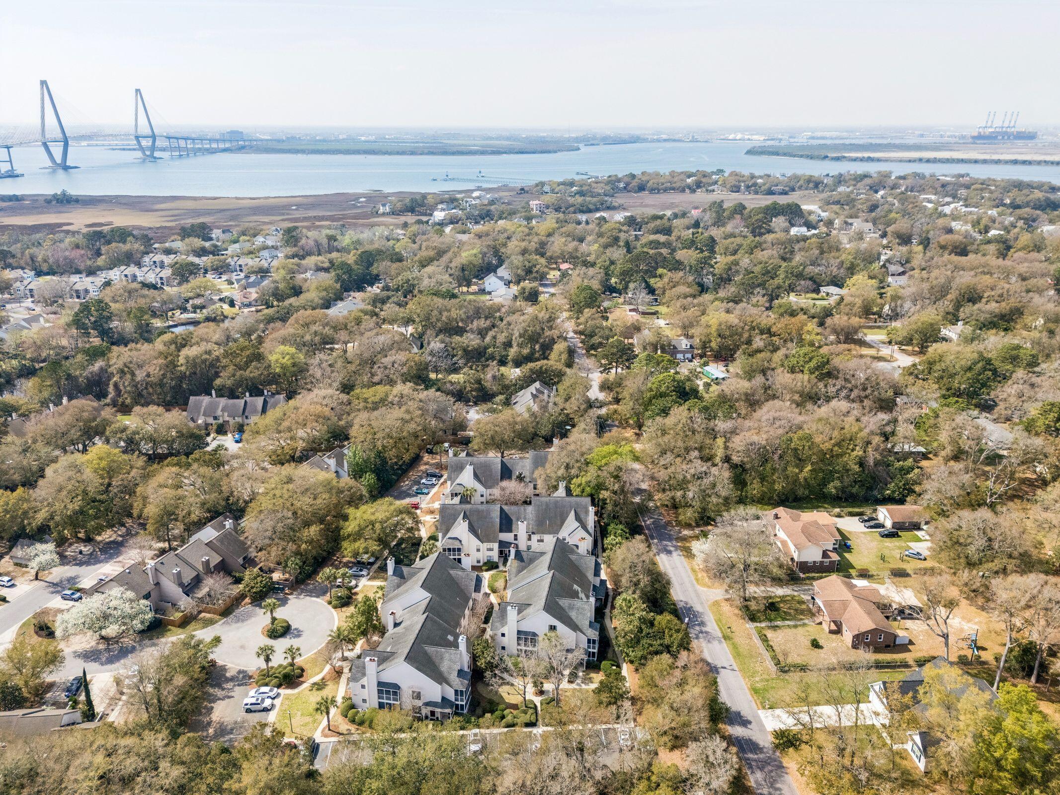 337 Spoonbill Lane Mount Pleasant, SC 29464 - Photo 41 of 41 ariel