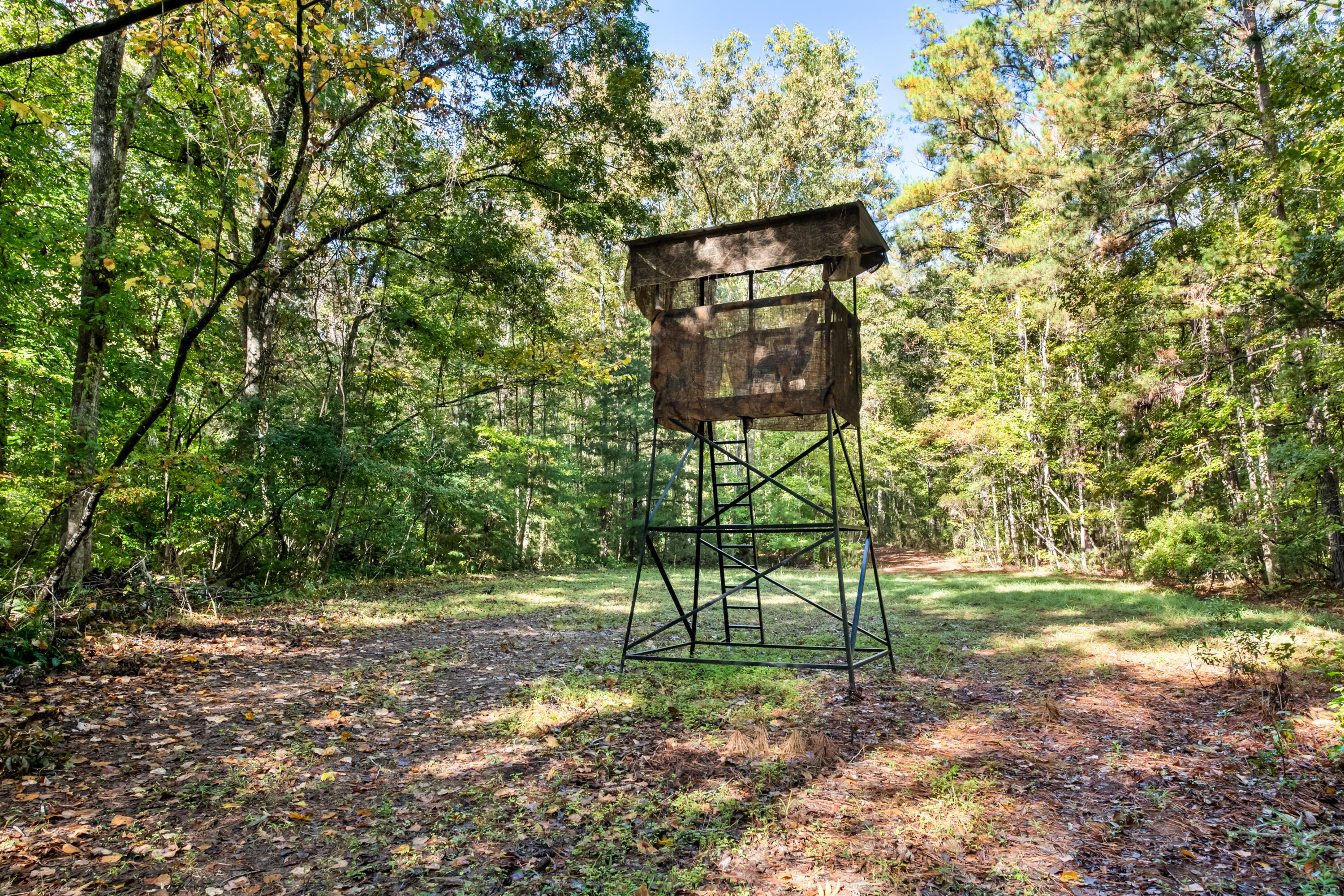 527-acres Spring Grove Road Adams Run, SC 29426 - Photo 21 of 44 HFL_OSBORNE TRACT-28