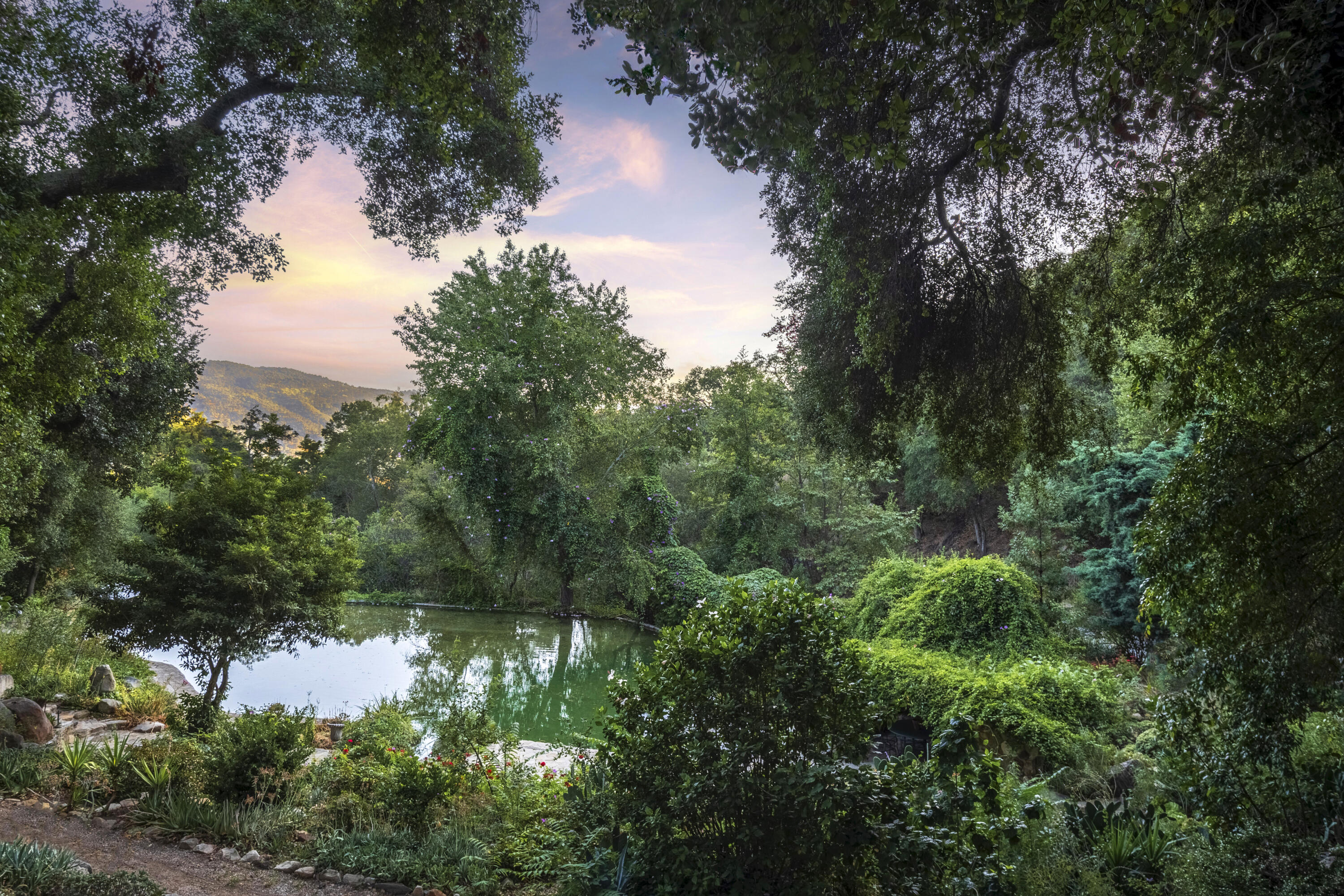 12615 Koenigstein Road Santa Paula, CA 93060 - Photo 2 of 40 a view of a lake with a tree in the background