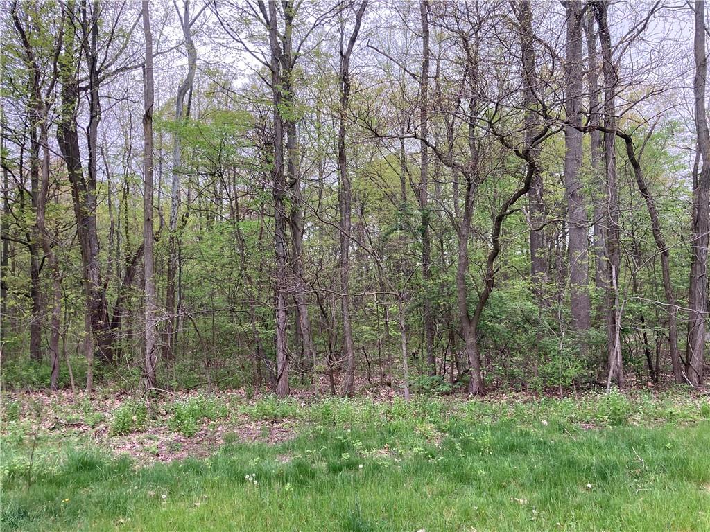 1187 Greenhouse Road Wampum, PA 16157 - Photo 3 of 3 a backyard of a house with lots of green space