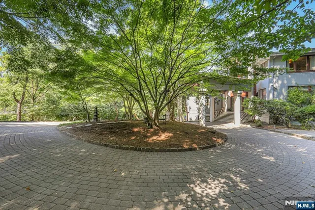 a view of a backyard with large trees