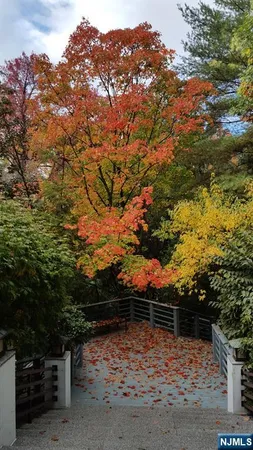a view of lake from window