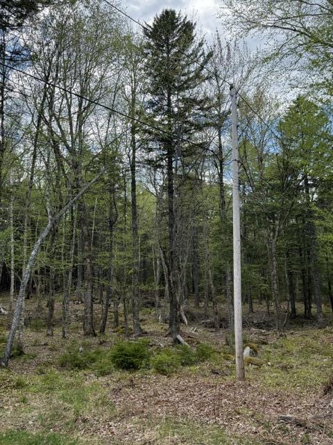Lot12-part Indian Trail Road East Machias, ME 04630 - Photo 28 of 34 Electric pole right next to the lot