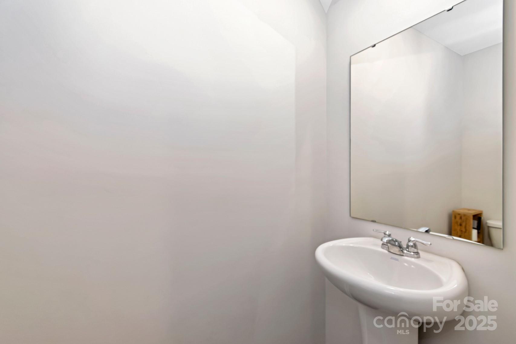 3305 Rian Drive Lenoir, NC 28645 - Photo 16 of 40 a bathroom with a sink and a mirror