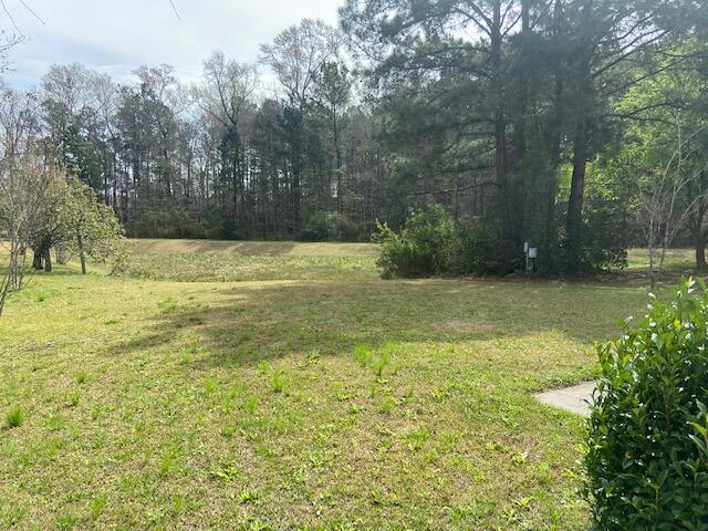 127 Meadowvale Lane Moncks Corner, SC 29461 - Photo 25 of 25 IMG_5901