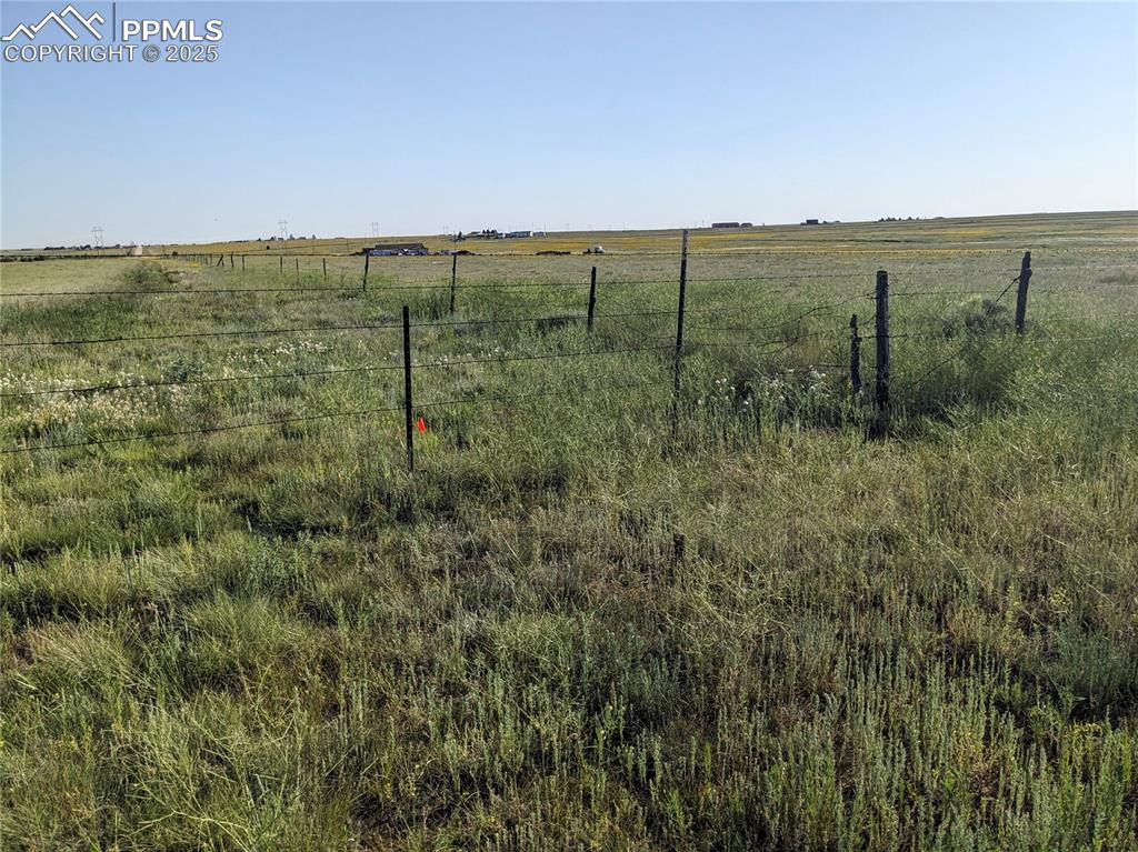 0 South Yoder Road Yoder, CO 80864 - Photo 8 of 10 a view of a green field with lots of bushes