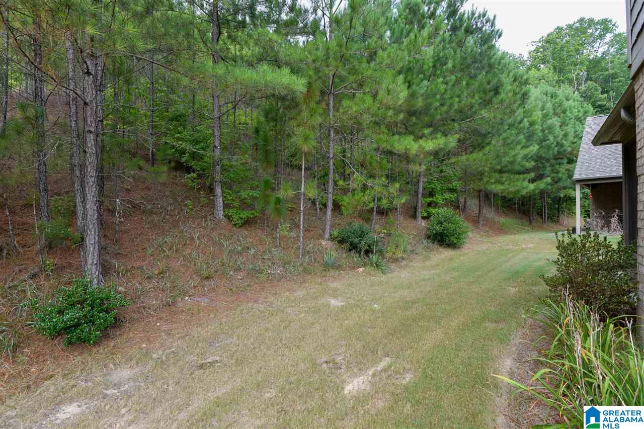 215 Chesser Way Chelsea, AL 35043 - Photo 37 of 45