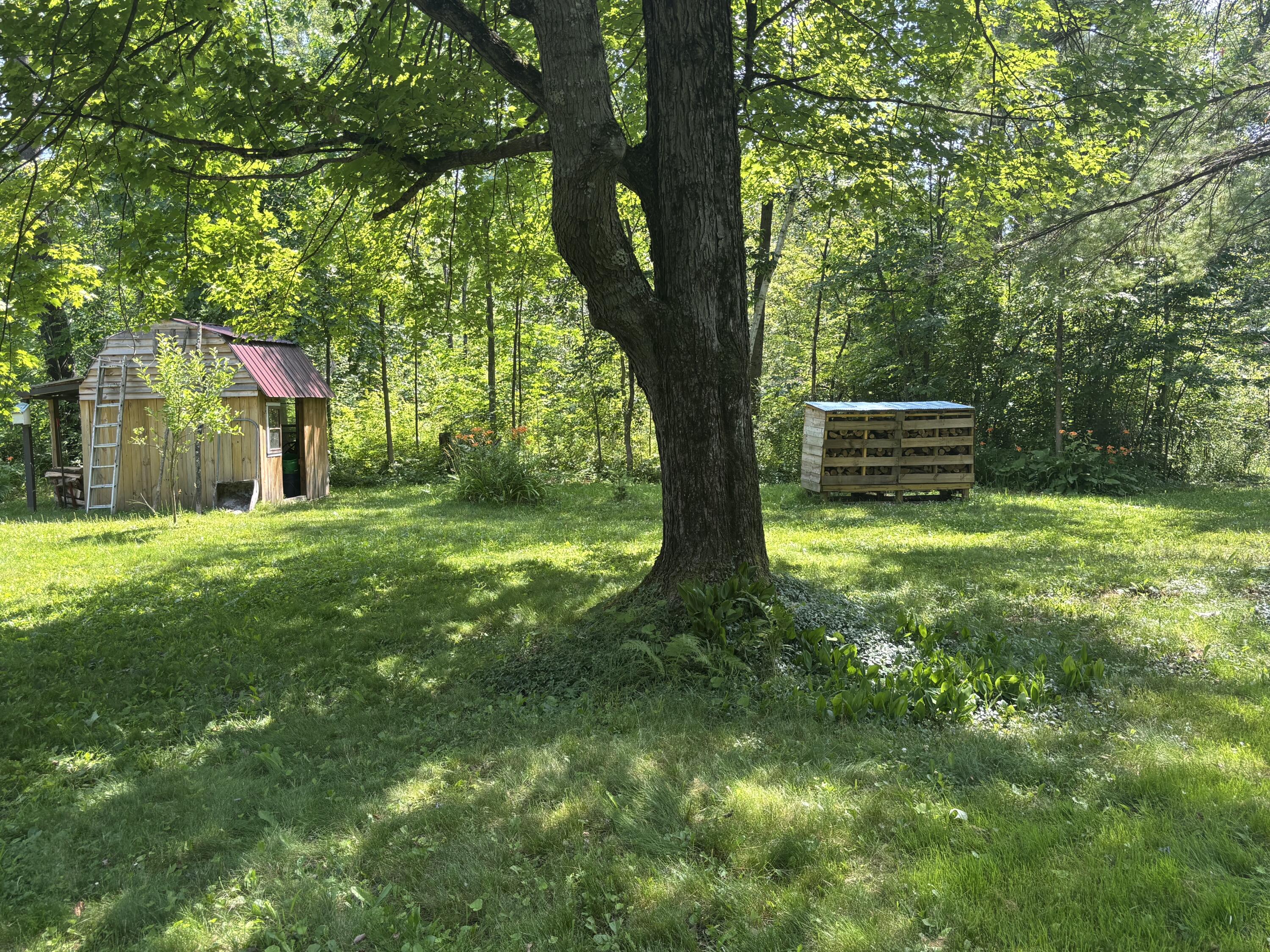 18309 Johnson Road Stanwood, MI 49346 - Photo 8 of 26 IMG_9155