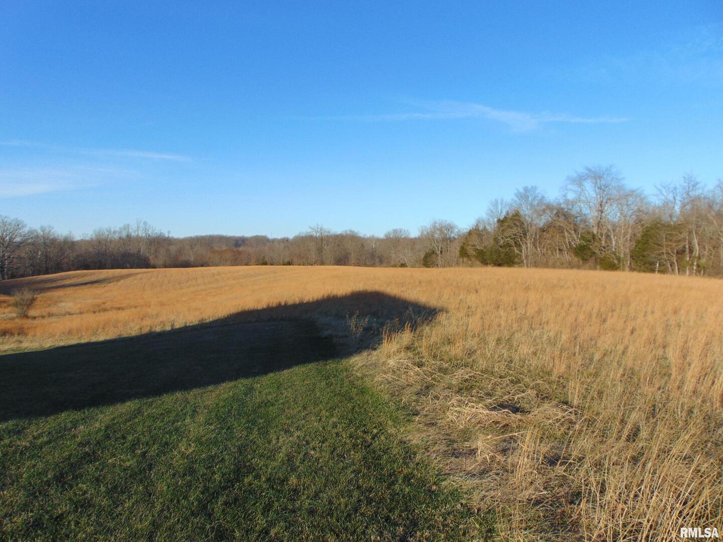 44 Bud Road Alto Pass, IL 62905 - Photo 12 of 21 a view of lake and mountain