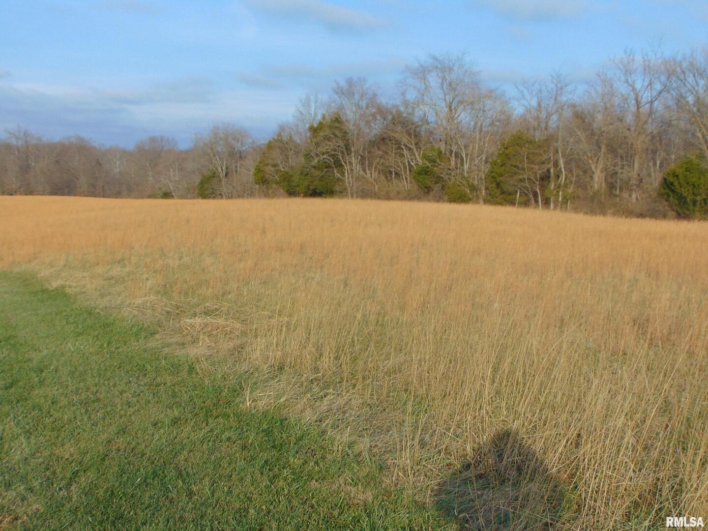 44 Bud Road Alto Pass, IL 62905 - Photo 8 of 21 a view of mountain with lake view
