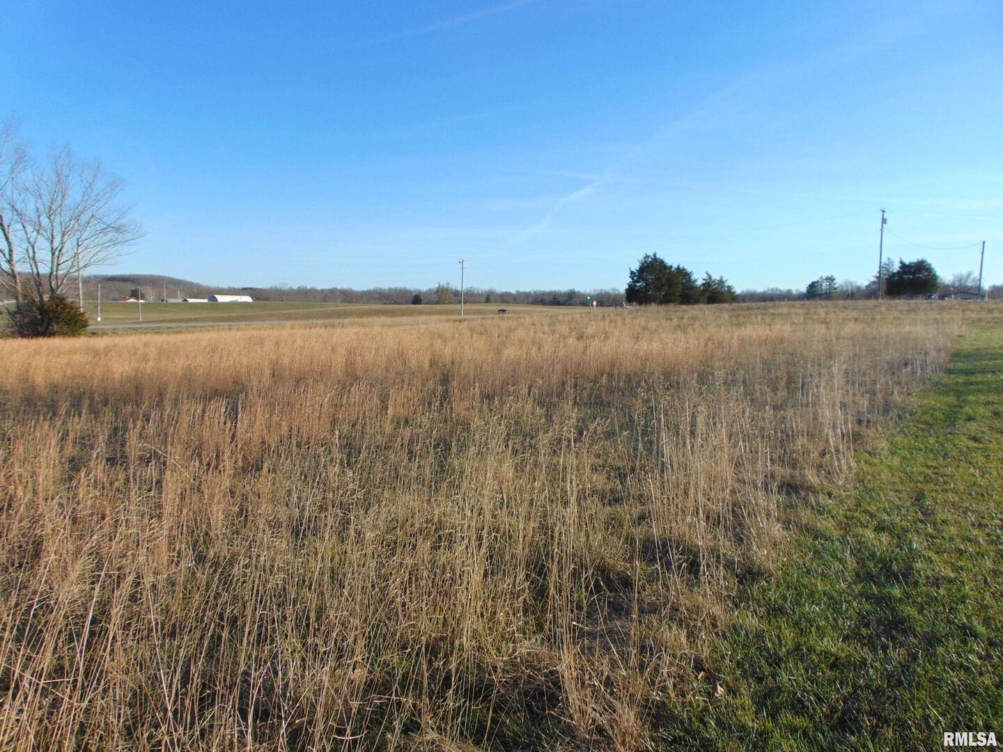 44 Bud Road Alto Pass, IL 62905 - Photo 9 of 21 a view of lake and mountain