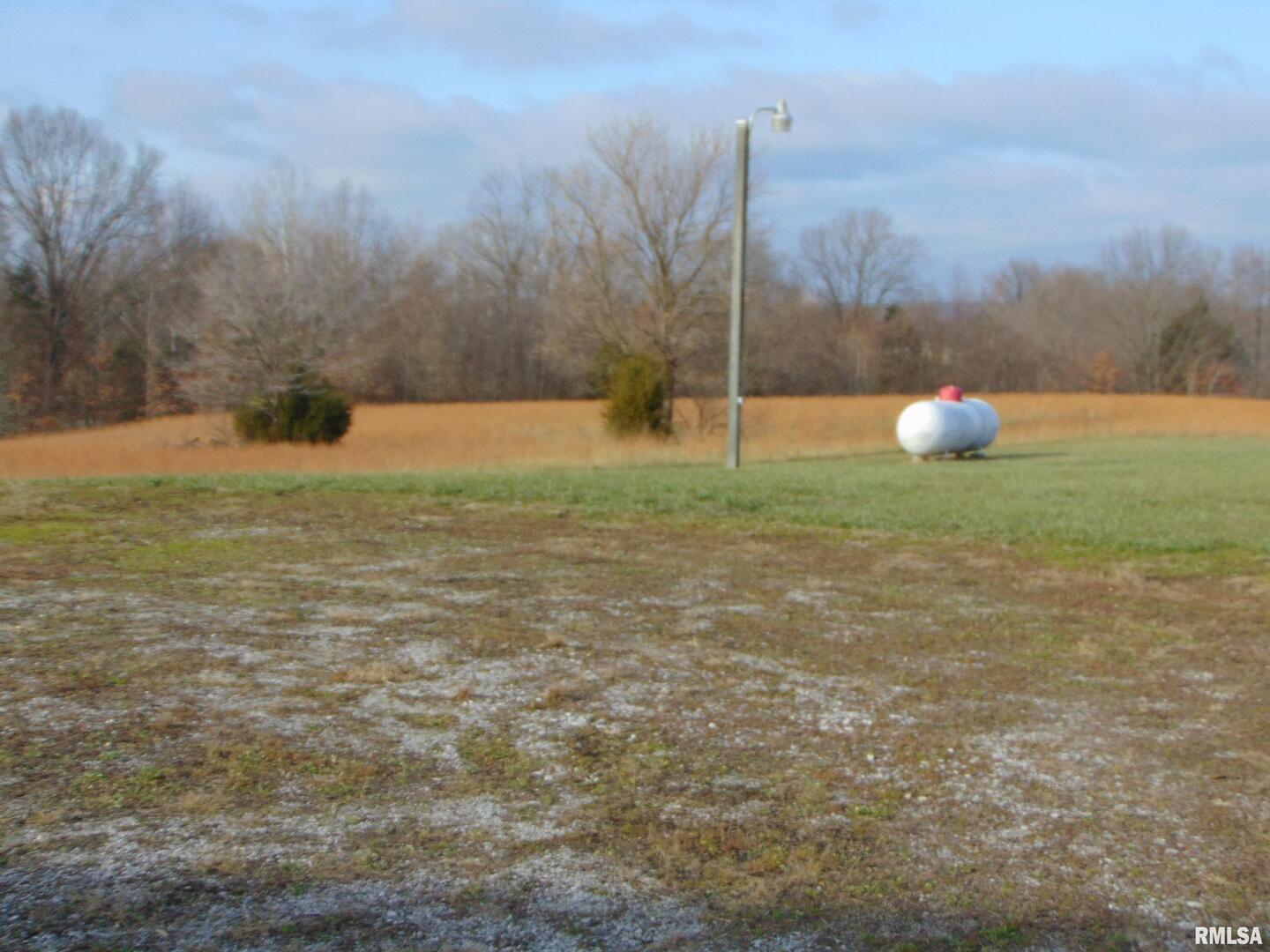44 Bud Road Alto Pass, IL 62905 - Photo 10 of 21 a view of a green field