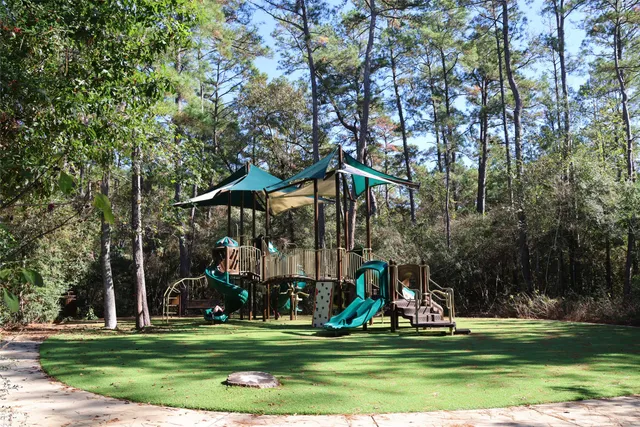 a view of a park with large trees