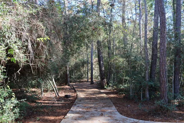 a view of a park with large trees