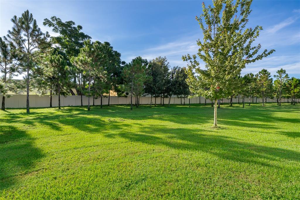 2555 Sweet Viburnum Way Ocoee, FL 34761 - Photo 3 of 26 a view of a park with a large trees