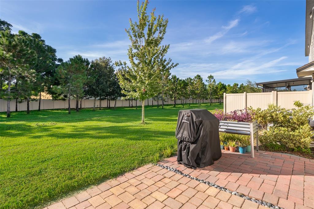 2555 Sweet Viburnum Way Ocoee, FL 34761 - Photo 4 of 26 a view of a garden and basketball court