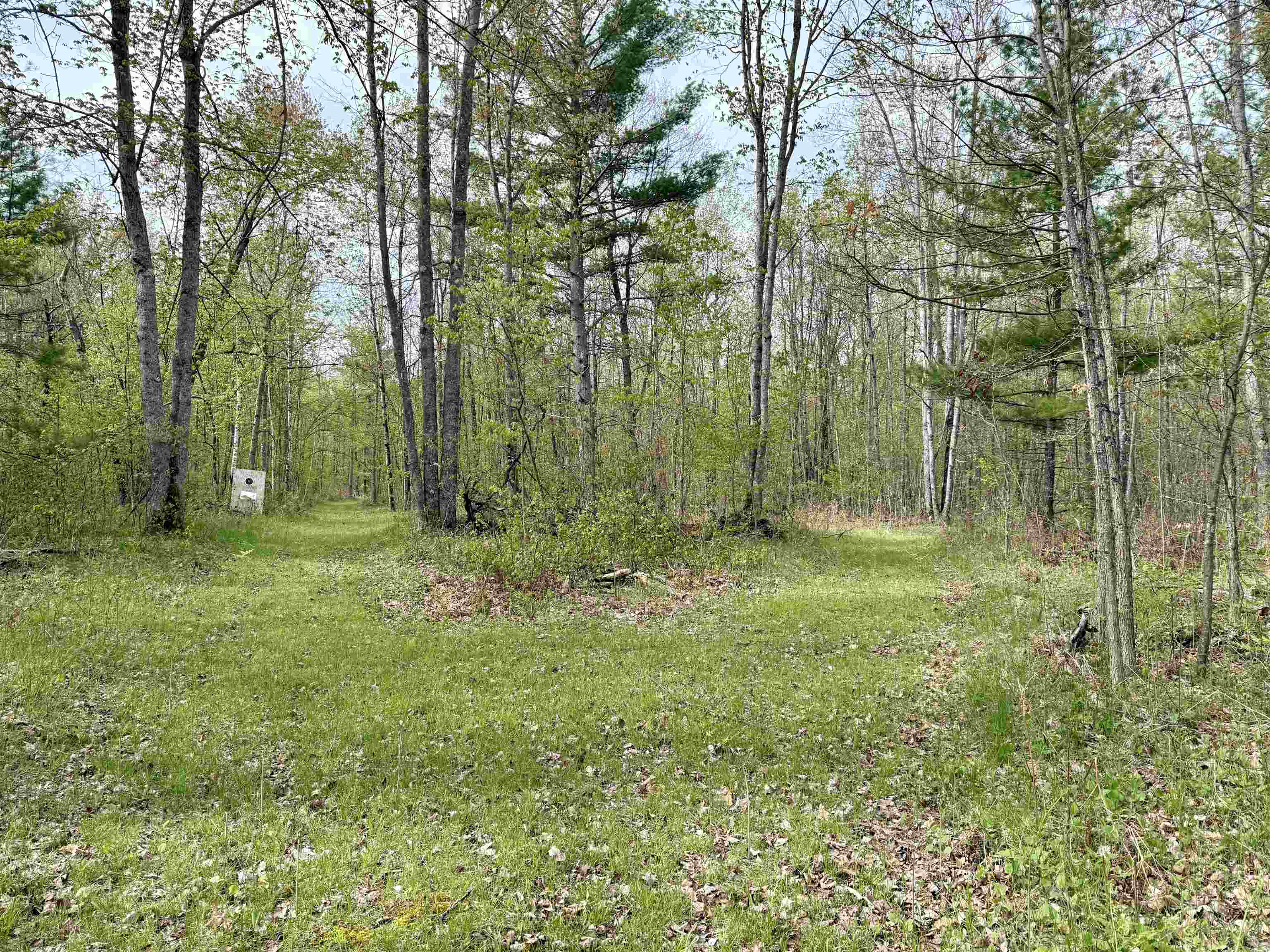 8105 Bamfield Road South Branch, MI 48761 - Photo 21 of 32 1934238-b2b339a7-74ff-4eb1-a4ad-d46988cbeb40.JPG