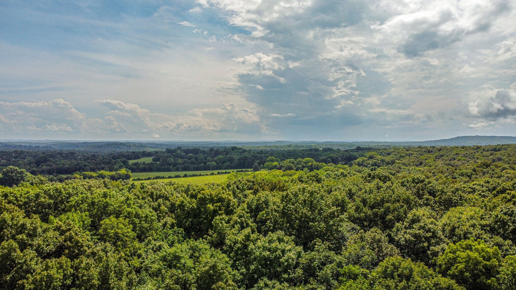 1950 Carpenter Bridge Road Columbia, TN 38401 - Photo 49 of 50 a view of a field with an ocean