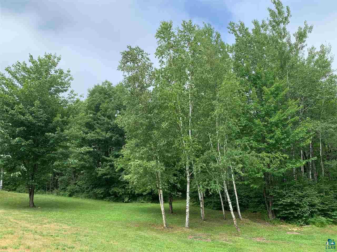 131 Nynas Road Esko, MN 55733 - Photo 21 of 31 Gallery Image 21