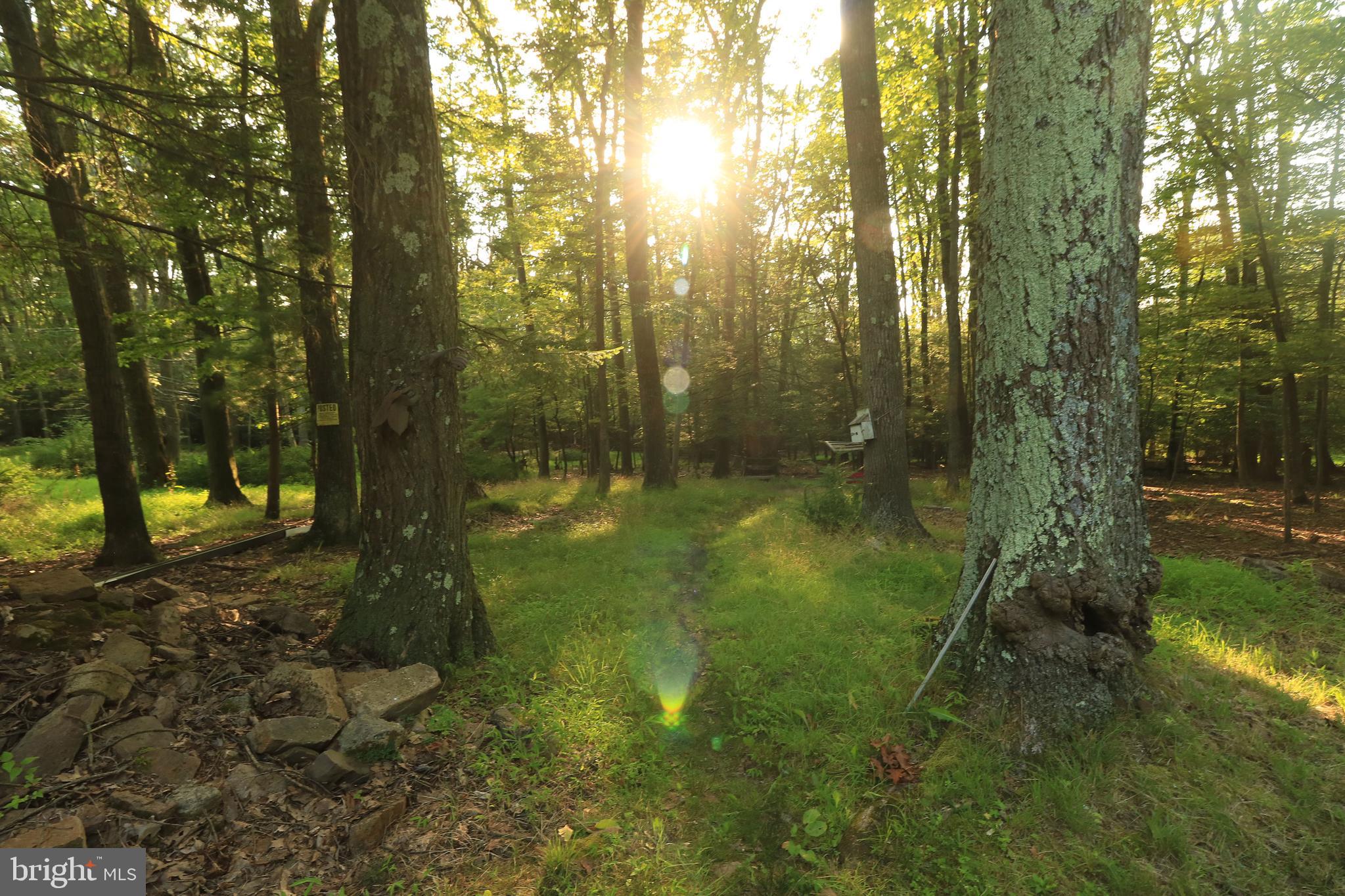 313 Greens Valley Road Centre Hall, PA 16828 - Photo 5 of 11 a backyard of a house with lots of green space