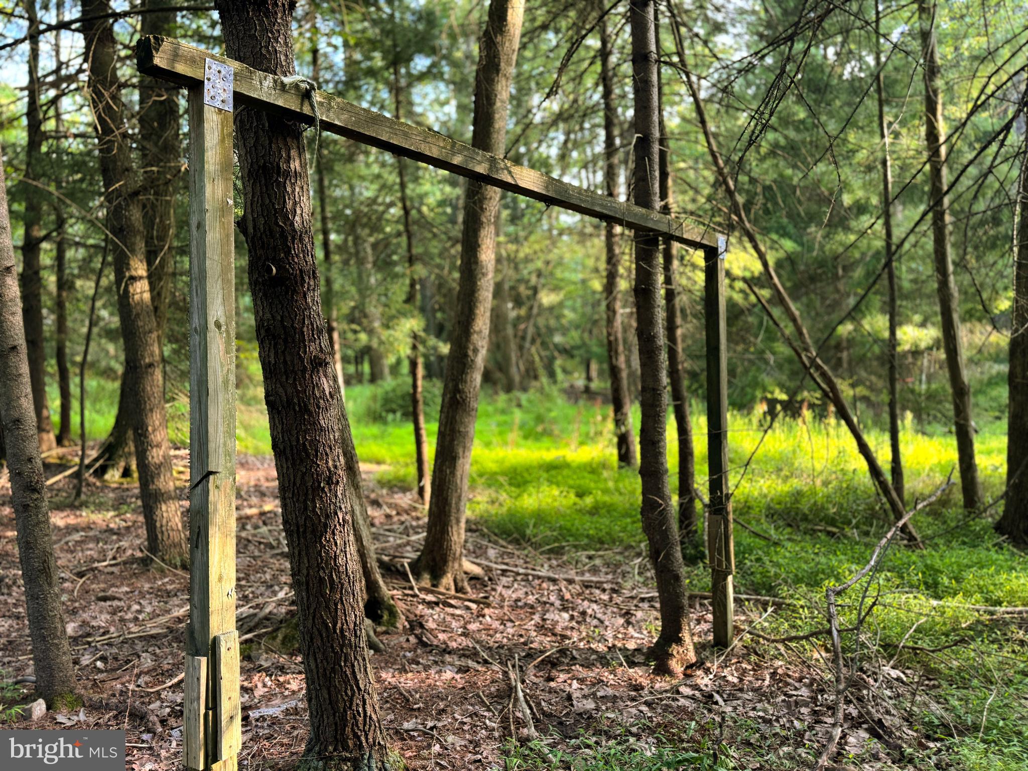 313 Greens Valley Road Centre Hall, PA 16828 - Photo 7 of 11 a view of outdoor space with deck