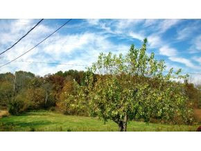 258 Big Limestone Road Limestone, TN 37681 - Photo 2 of 8 Photo 2