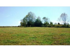 258 Big Limestone Road Limestone, TN 37681 - Photo 3 of 8 Photo 3