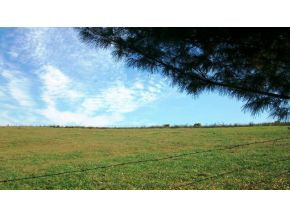 258 Big Limestone Road Limestone, TN 37681 - Photo 4 of 8 Photo 4