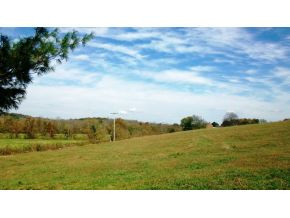 258 Big Limestone Road Limestone, TN 37681 - Photo 5 of 8 Photo 5