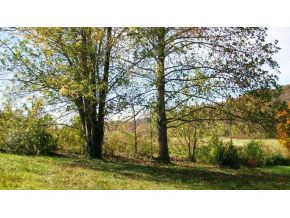 258 Big Limestone Road Limestone, TN 37681 - Photo 7 of 8 Photo 7