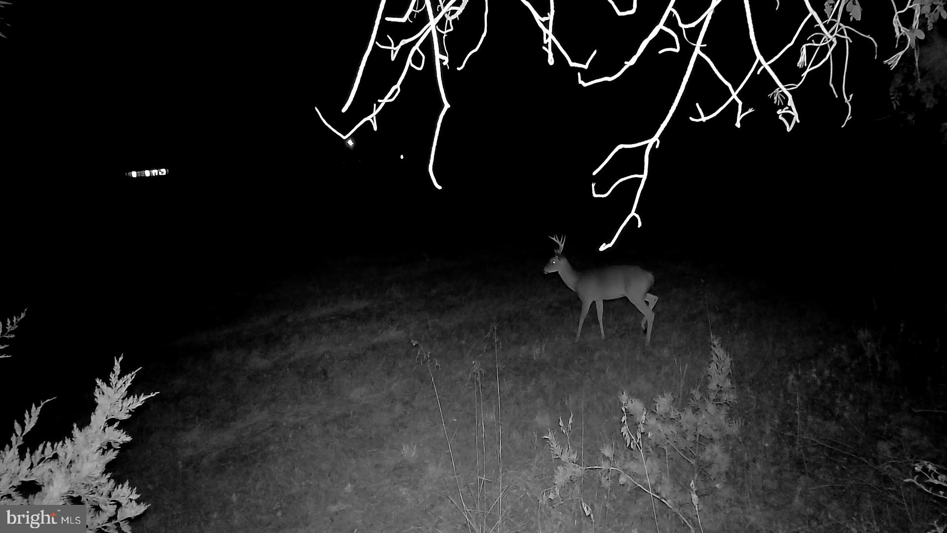 0 Tidewater Trail Rappahannock Academy, VA 22538 - Photo 15 of 64 a view of an ocean