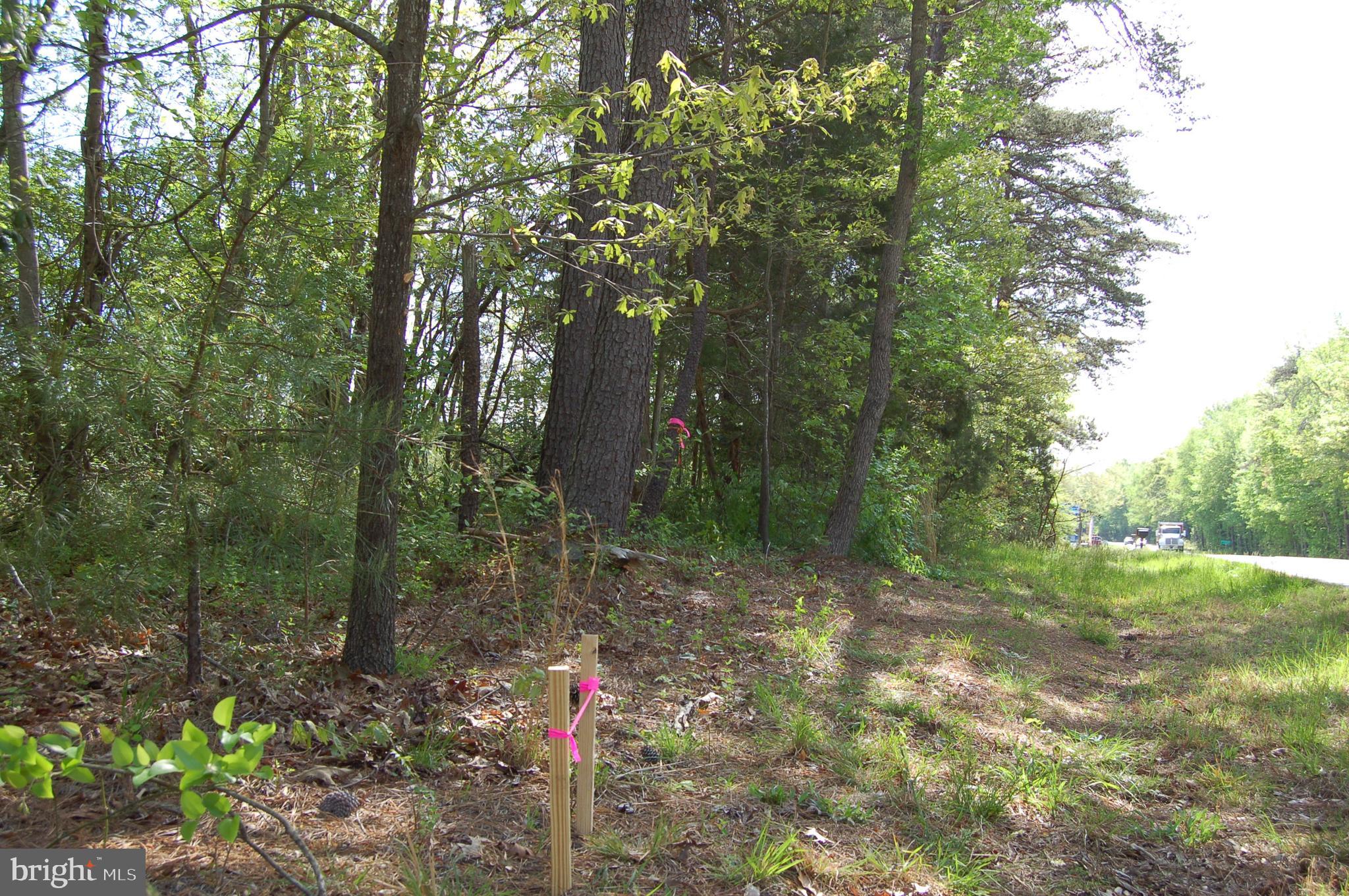 0 Tidewater Trail Rappahannock Academy, VA 22538 - Photo 22 of 64 a front view of a house with a tree