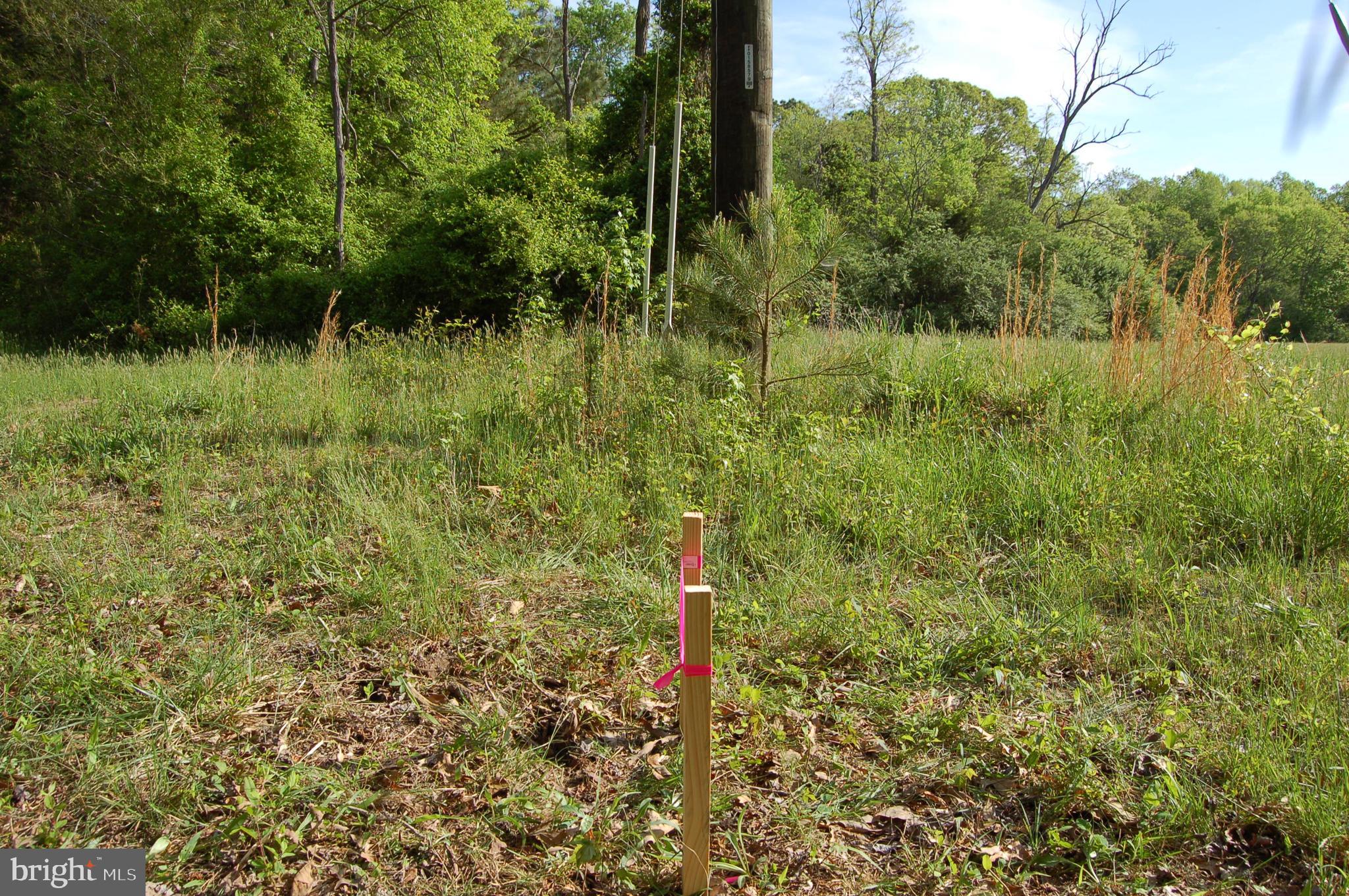 0 Tidewater Trail Rappahannock Academy, VA 22538 - Photo 25 of 64 Two stakes show West Boundary heading