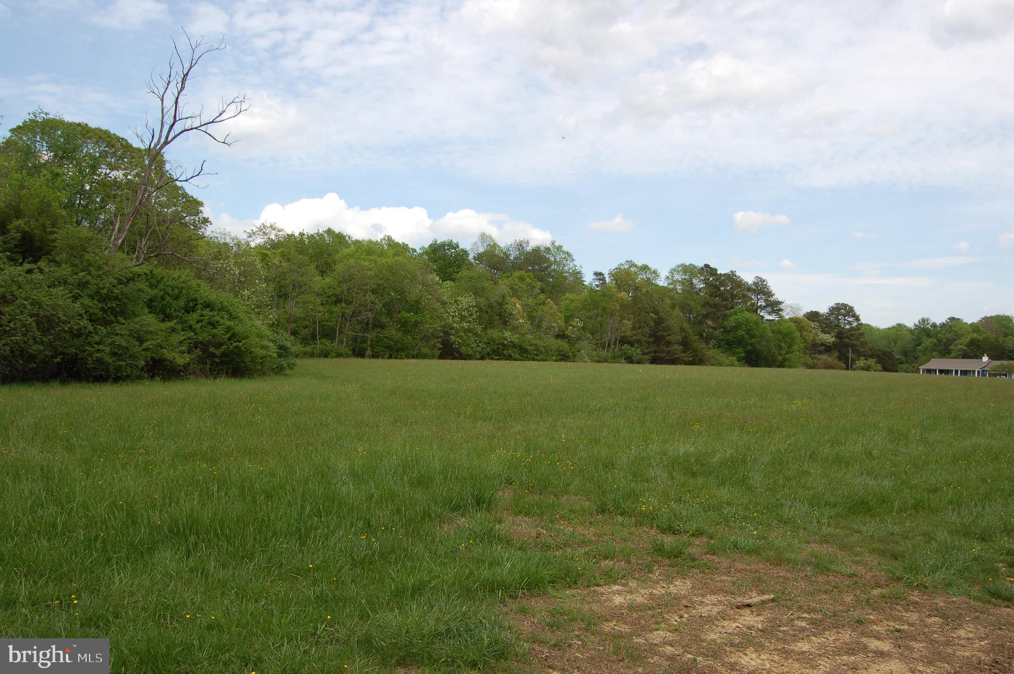 0 Tidewater Trail Rappahannock Academy, VA 22538 - Photo 26 of 64 a view of a green field with wooden fence