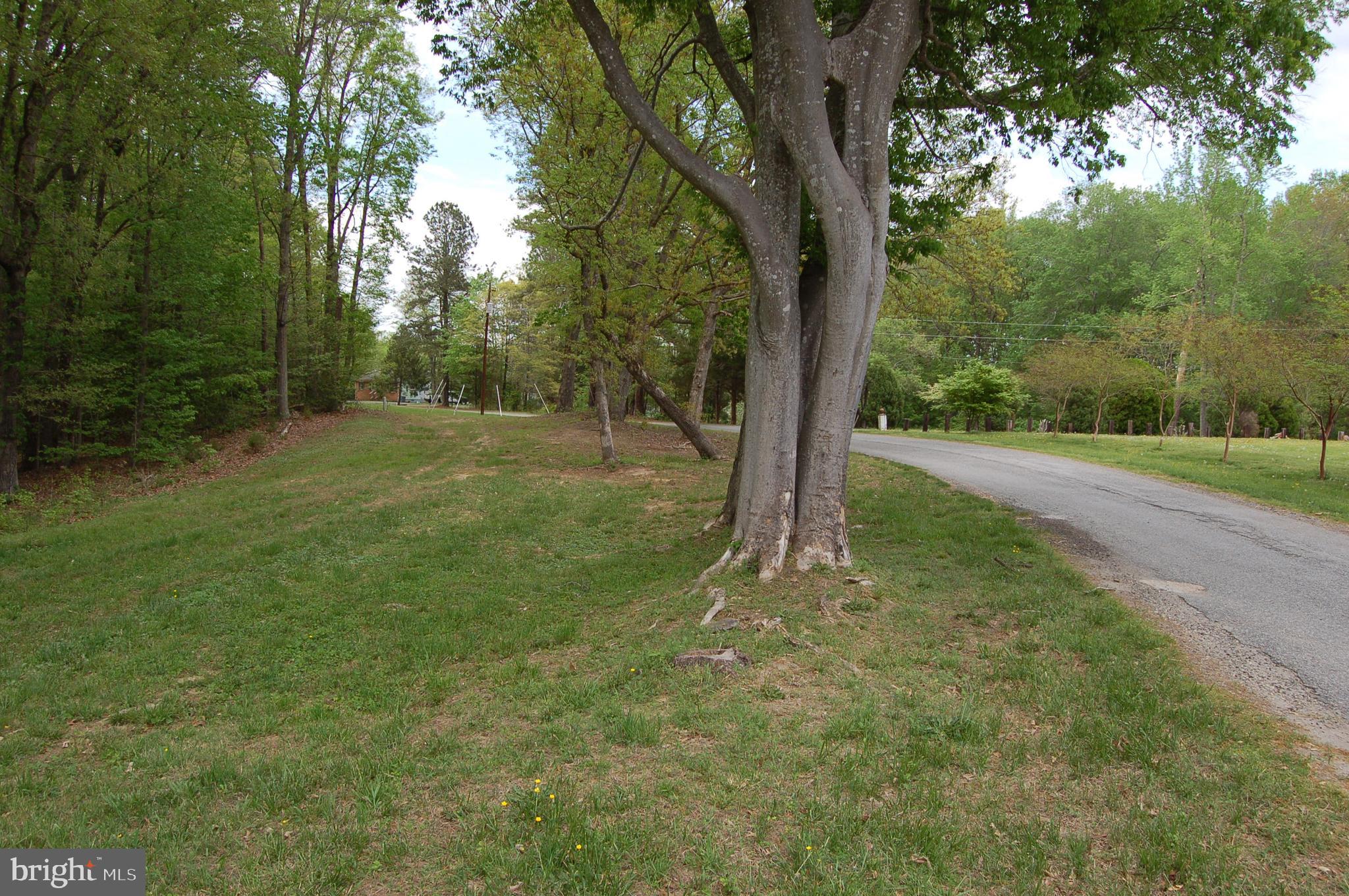 0 Tidewater Trail Rappahannock Academy, VA 22538 - Photo 29 of 64 a view of a yard with a tree