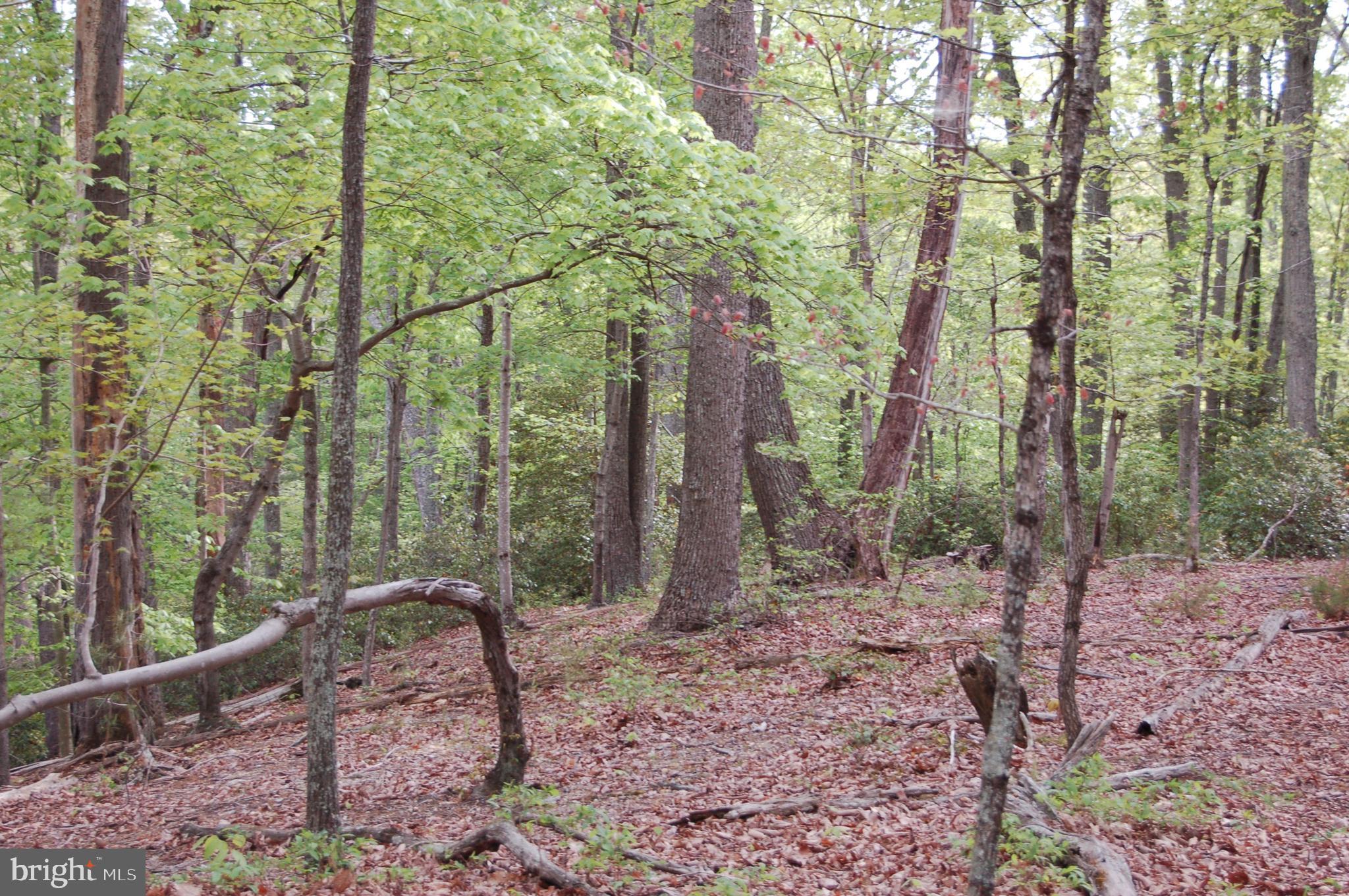 0 Tidewater Trail Rappahannock Academy, VA 22538 - Photo 40 of 64 ..with an overview...