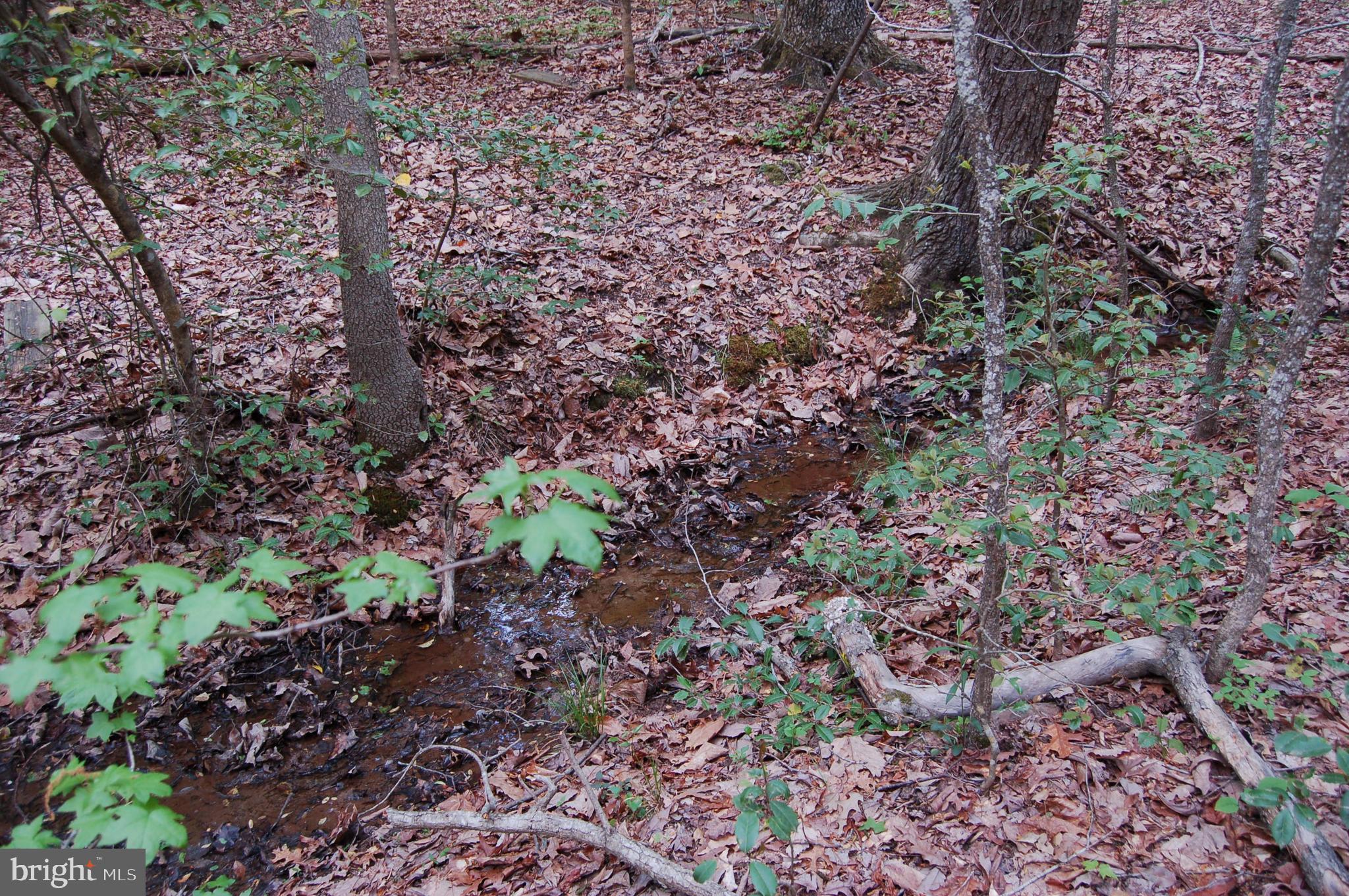 0 Tidewater Trail Rappahannock Academy, VA 22538 - Photo 4 of 64 seasonal creek and one small spring found