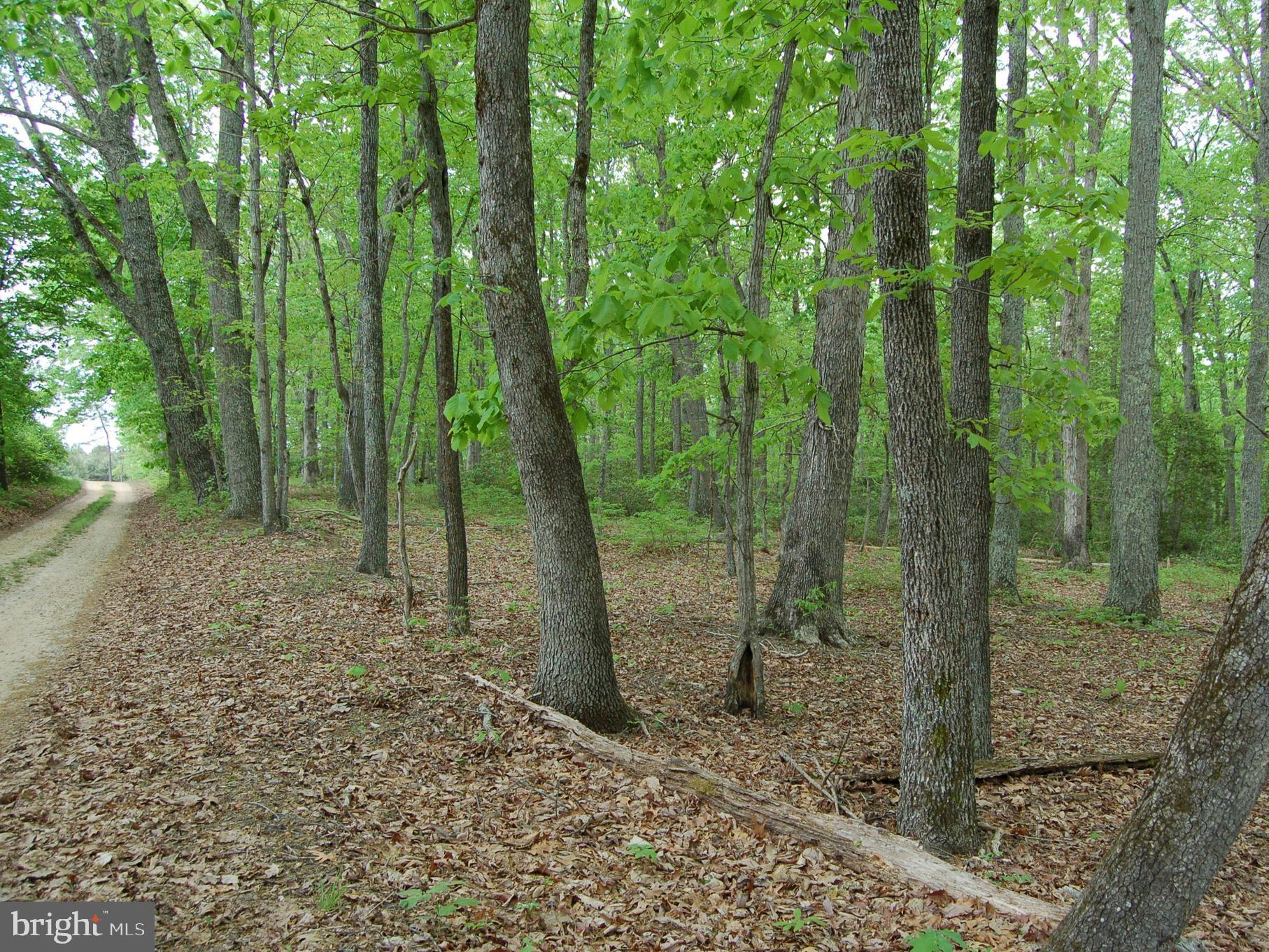 0 Tidewater Trail Rappahannock Academy, VA 22538 - Photo 48 of 64 ...returning to the North end along road