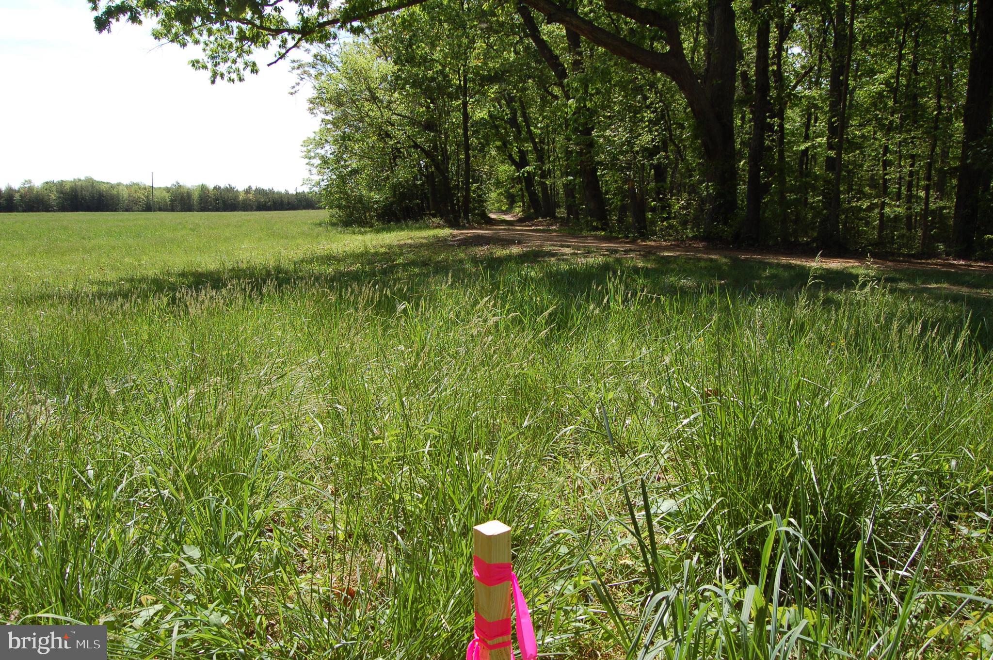 0 Tidewater Trail Rappahannock Academy, VA 22538 - Photo 49 of 64 a backyard of a house with lots of green space and lake view